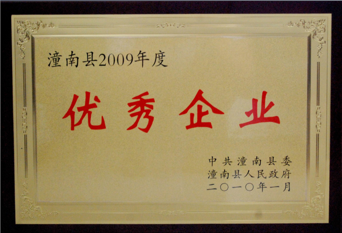 我司榮獲“潼南縣優(yōu)秀企業(yè)”榮譽(yù)稱(chēng)號