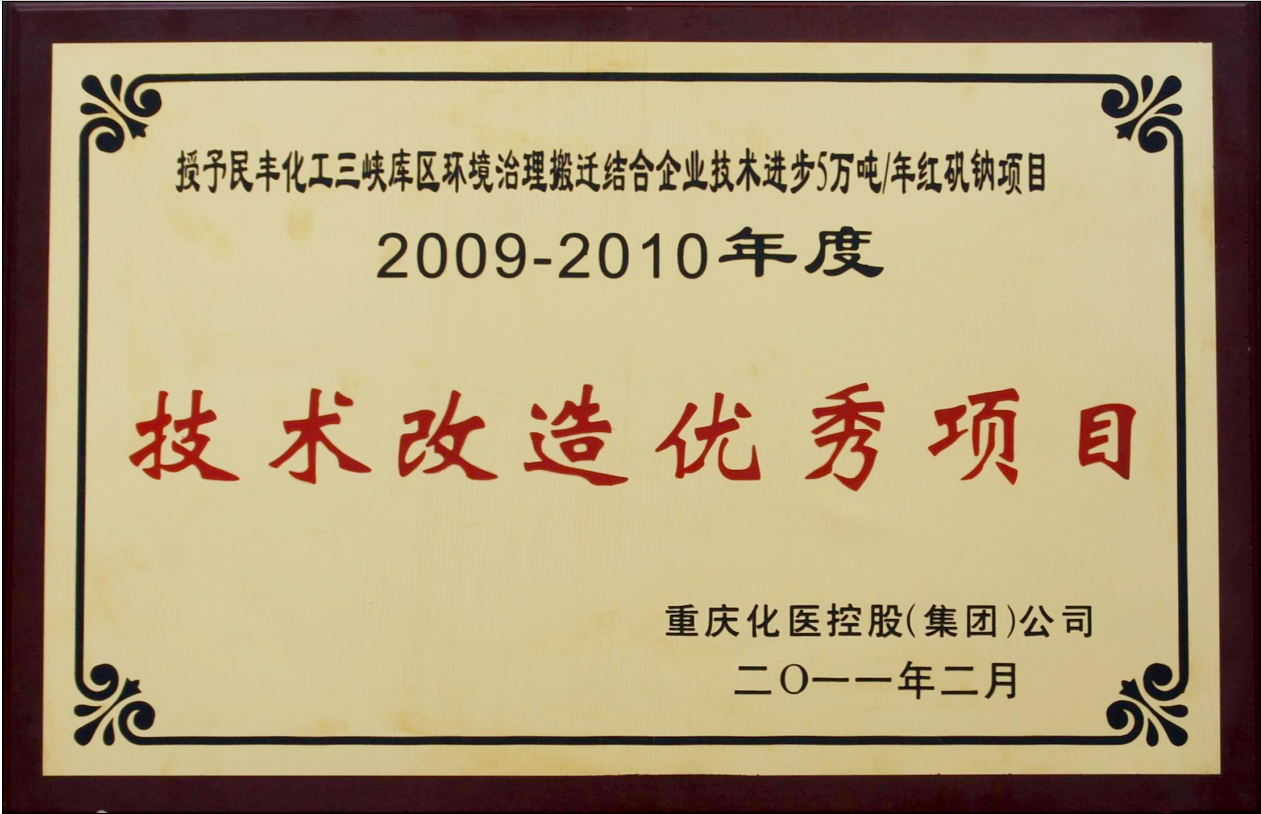 我司被重慶化醫控股（集團）授予技術(shù)改造優(yōu)秀項目