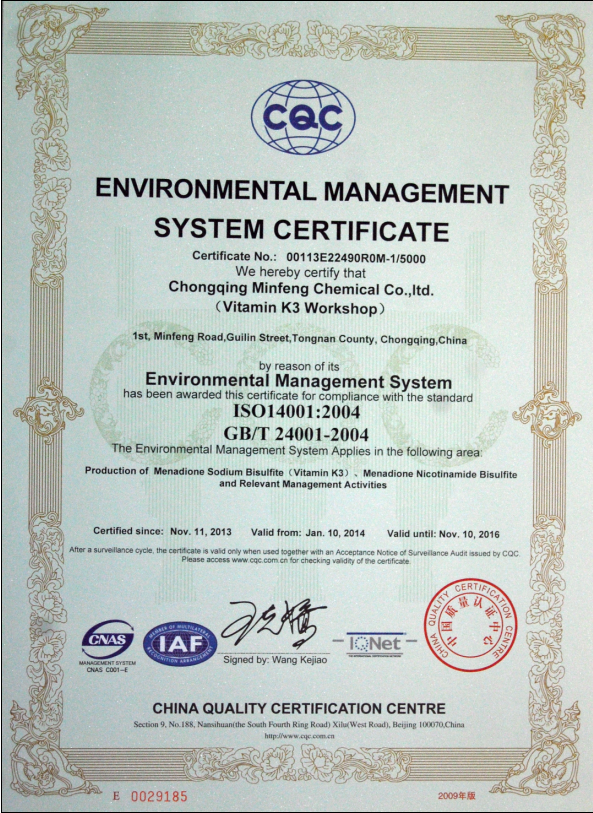 Environmental Management System Certificate